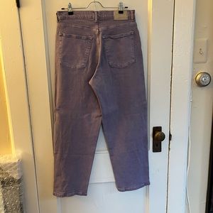 Everlane Way High Garment Dyed Jean